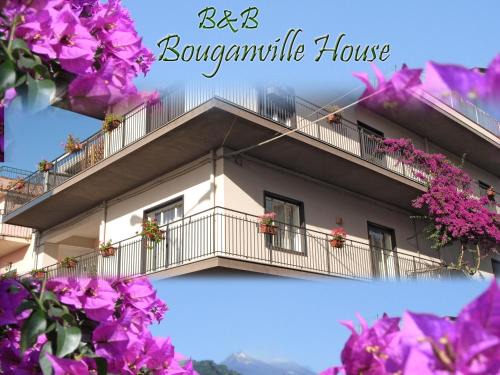 Zafferana Etnea Bed & Breakfast | Bouganville House