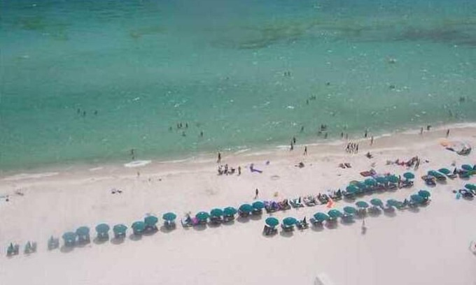 Biltmore Beach Condo | ~Breathtaking 11th Floor Beachfront 2B/2B W/FREE Beach Chairs/Umbrella~