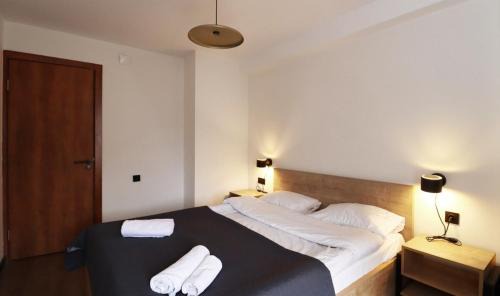 Kazbegi Apartment | Bright and Cozy 1BR Apartment In Marshall Gudauri Project