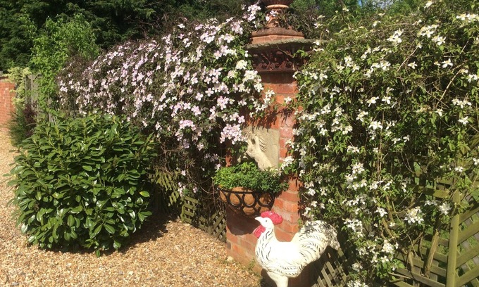 Manton Bed & Breakfast | Broccoli Bottom