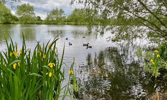 South Cerney Ski Chalet | Bumble Bee Cabin