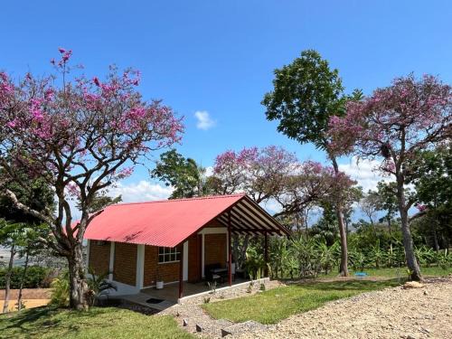 Rumisapa Other | Bungalows Las Brisas de Pacchilla