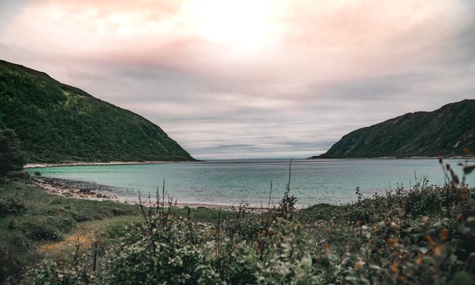 Botnhamn Apartment | Buvik Sea Lodge