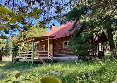 Pueblo Nuevo Ski Chalet | Cómoda Cabaña de Descanso Parque La Pirámide