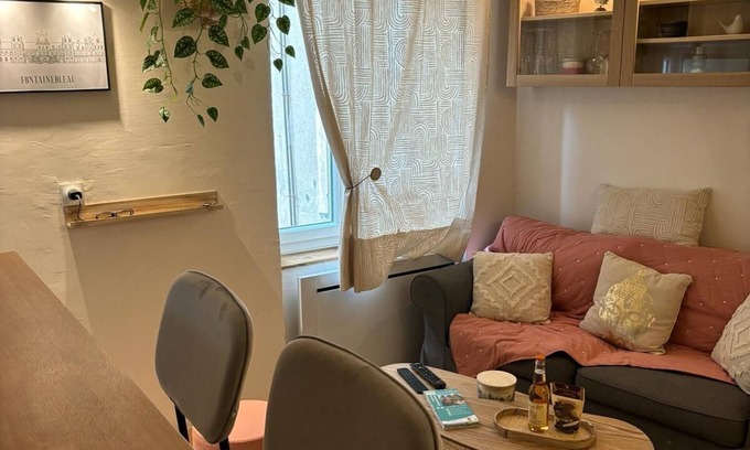 Fontainebleau Apartment | Cœur DE Fontainebleau