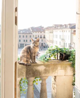 Bassano del Grappa House | Ca' Garibaldi Rooms