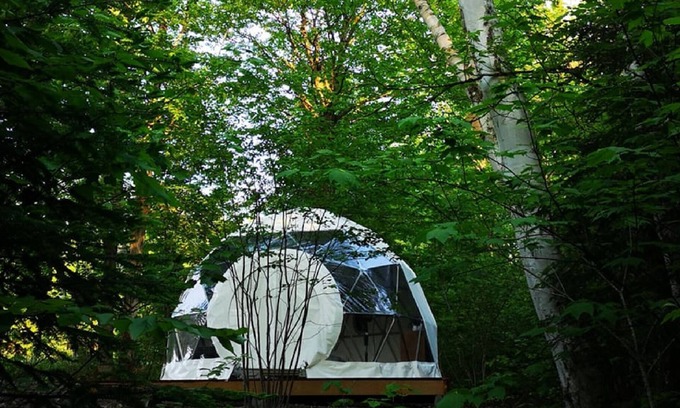 Notre-Dame-Auxiliatrice-de-Buckland Cabin | Dôme Forestier: Glamping, nature, stars, comfort, shared kitchen, CITQ304716.