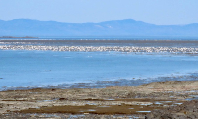 Saint-Antoine-de-l'Isle-aux-Grues Bed & Breakfast | Auberge Pourvoirie Isle-aux-Grues