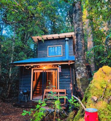 Panguipulli House | Cabaña Alto del Bosque