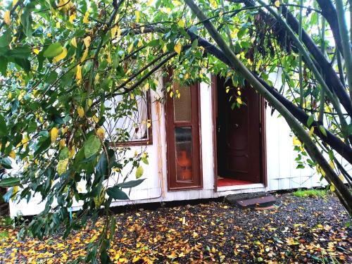 Valdivia Apartment | Cabaña Económica Low Cost Independiente Veinte mil x persona Veintiocho mil x dos Valor total por noche Bienvenidos