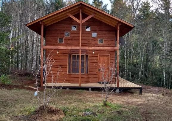 Villarrica Ski Chalet | Cabaña entre Arboles