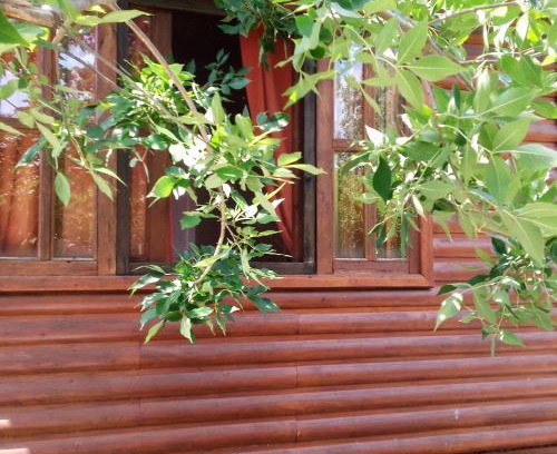 Gualeguaychu House | Cabaña Los Cardenales