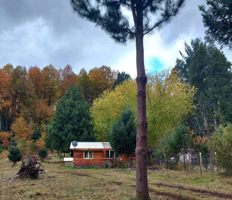 Melipeuco Apartment | Cabaña May Pao, para 3 en Melipeuco cerca del Parque Nacional Conguillio