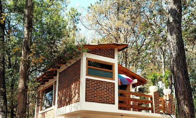 Acaxochitlan Other | Cabaña para pareja en el bosque IA