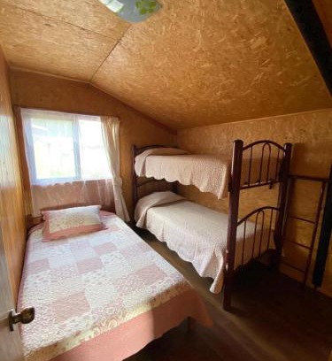 Neltume Apartment | Cabaña vista hermosa