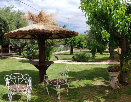 Bajo Lunlunta Ski Chalet | Cabañas Las Rosas