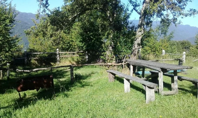 Panguipulli House | Cabañas liquiñe Alto