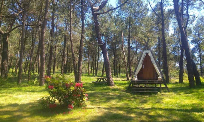 Plomodiern Bed & Breakfast | Cabadienne au Calme Absolu, Face au Menez Hom et à 10 Minutes de la Plage