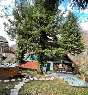 Sovata House | Cabana Farmec Ciubăr - Dézsabáj Kulcsosház