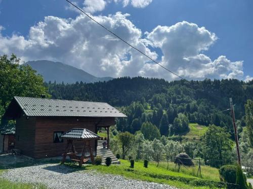Borsa House | CABANA MERISORULUI