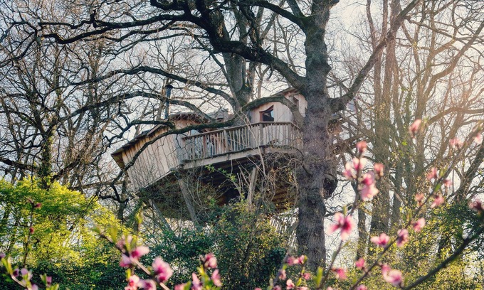 L'Isle-Bouzon Cabin | Cabane perchée/sauna & cold bath/shared natural swimming pool