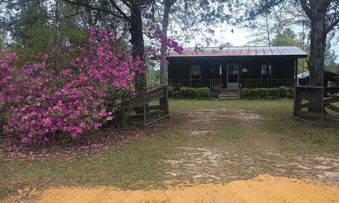 Chapman Cabin | Cabin in the Woods