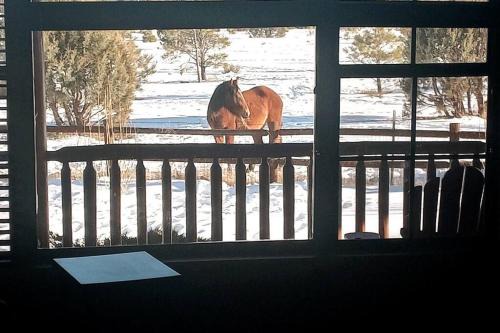 Heber House | Cabin with Wild Horses, Fireplace, Dog Friendly & StarLink