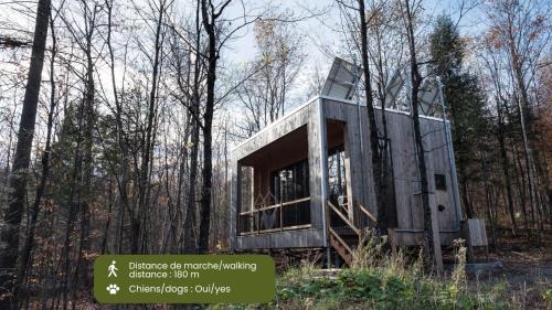 Eastman House | Cabin Zoobox 56