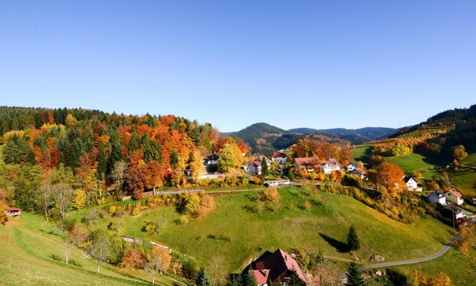 Bad Peterstal-Griesbach Apartment | Café Pension Waldfrieden