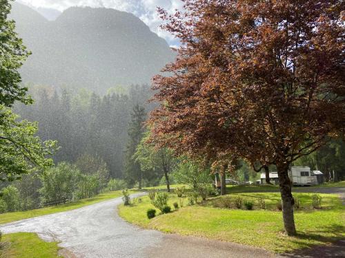 Le Petit-Bornand-les-Glieres Other | Camping les Marronniers