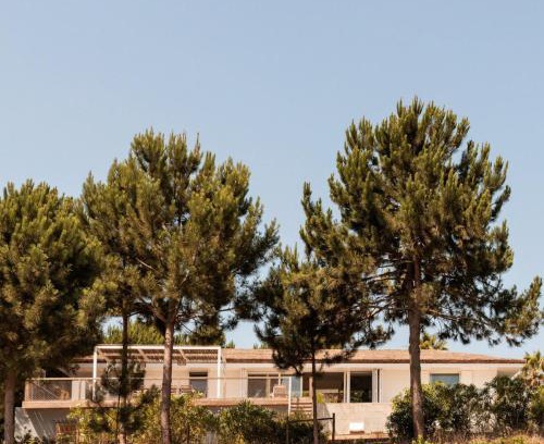 Carvalhal Villa | Campo de Arroz