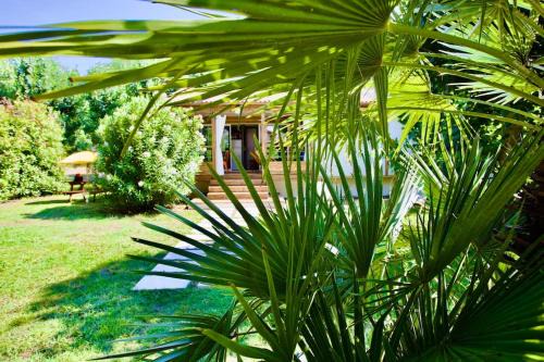 Ghisonaccia Ski Chalet | Campo Vecchio Sole et Piscine