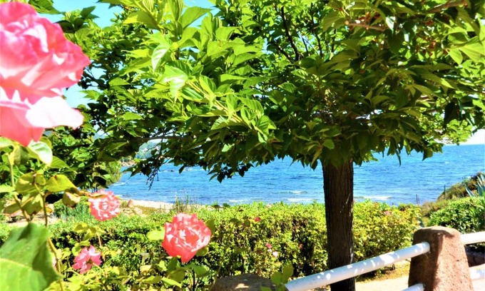 Favone Apartment | CANELLA 2