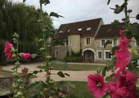 Ernes Apartment | Canon, Coeur De Combray