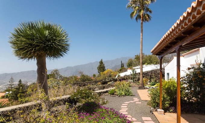 Tajuya House | Casa Arándano