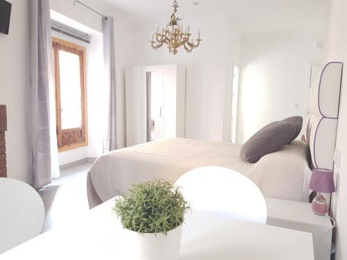 Old Town House | Casa Botes