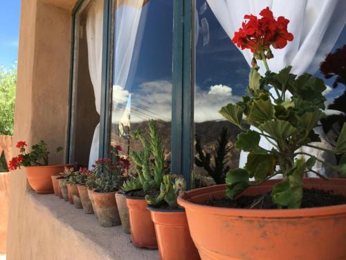 Tilcara House | Casa Buika