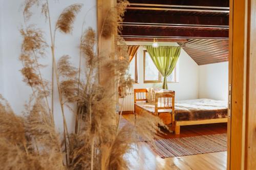 Zabala Ski Chalet | Casa bunicilor/Grandparent’s house