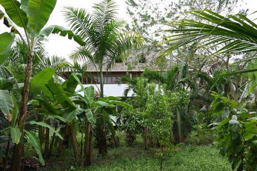 Buritaca Apartment | Casa Colorida