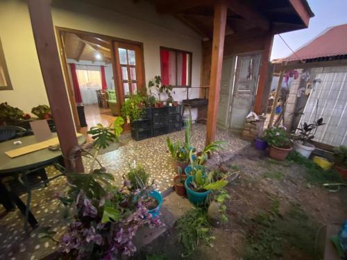 Pelluhue Apartment | Casa de campo en Cardonal