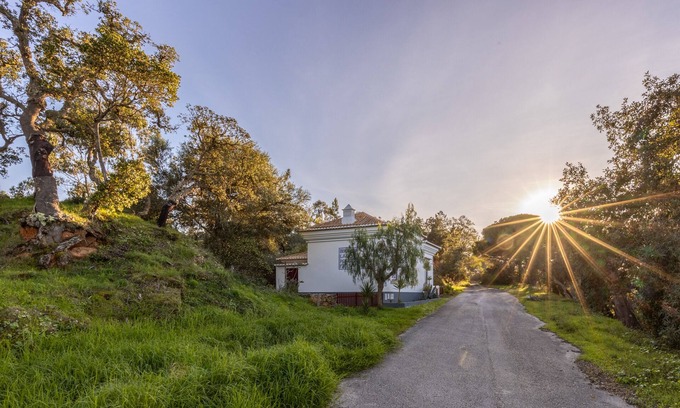 Valinhos House | Casa de Cantoneiros, Alfambras