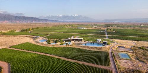 Vista Flores Hotel | Casa de Uco Vineyards and Wine Resort