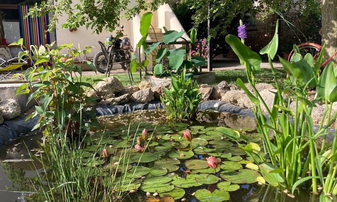 Capaccio Scalo House | Casa del Geco