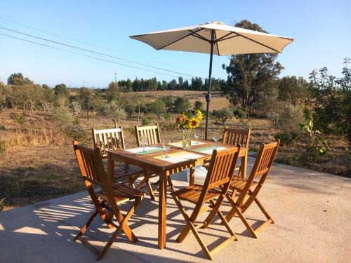 Santiago do Cacem House | Casa do Monte dos Medronheiros