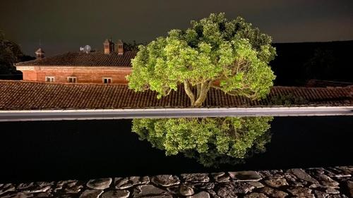 Montaldo Bormida Bed & Breakfast | Casa Dormiveglia