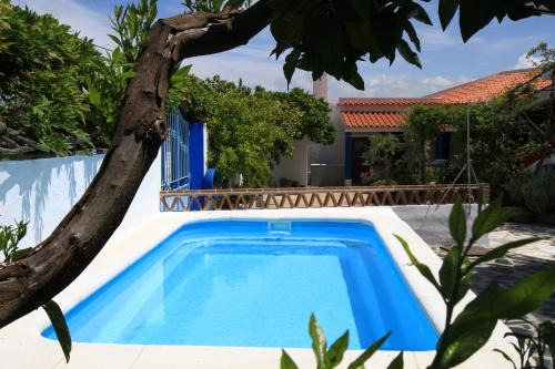 Reguengos de Monsaraz House | Casa dos Avós