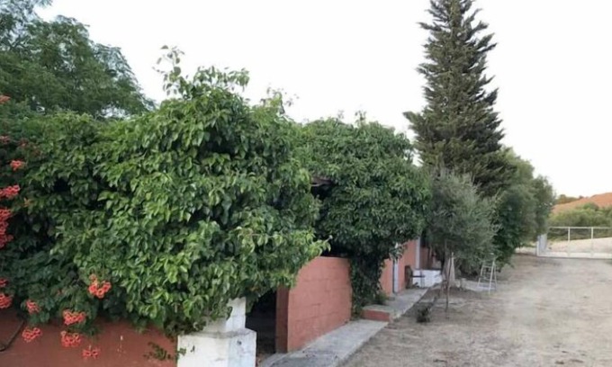 Medina-Sidonia House | Casa El Berrueco, rural lodging