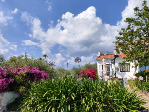 Monte Chiaro House | Casa Elianta