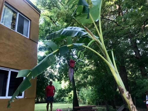 Gualeguaychu House | Casa en Isla Libertad
