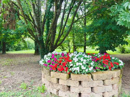 Camisano Vicentino Apartment | Casa fiorita